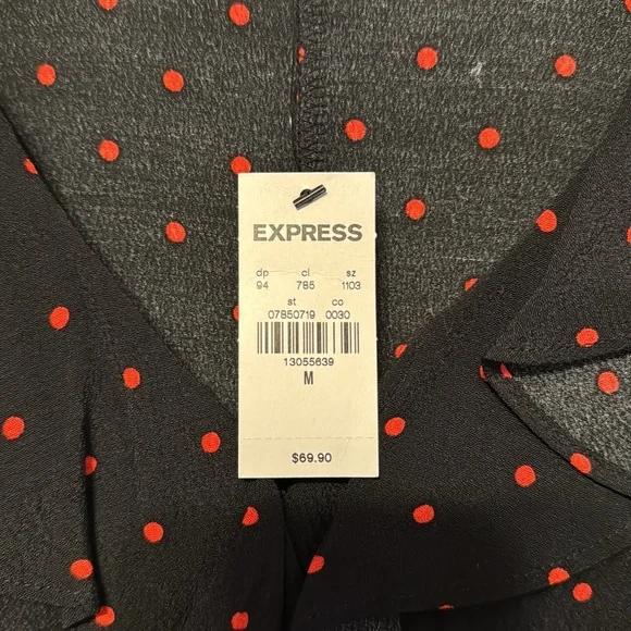 Express Dress - Picture 2 of 4